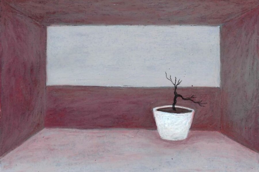 Veronika Šavarová, Deníkové zápisky 2, vyvolávací cena 1000,-